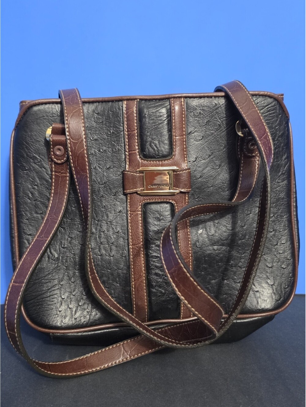 CARRYLAND Black/Brown Pebbled Top Handle Satchel Bag Zip, Gold, Lined Pockets
